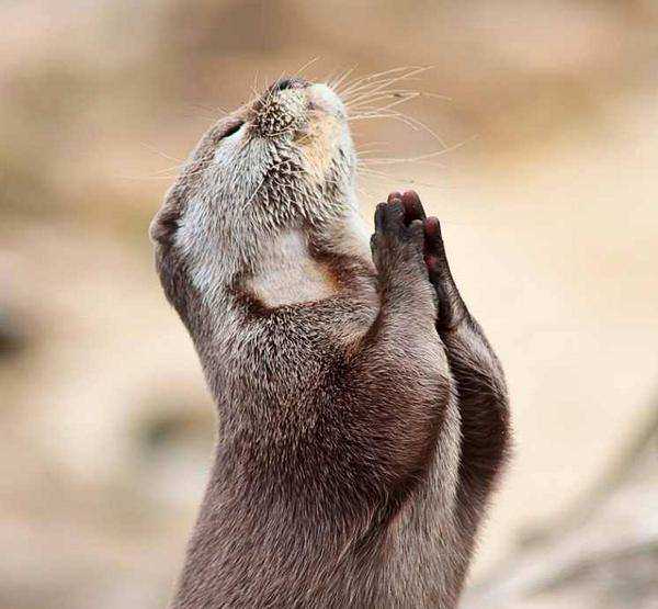 kglenyora's tweet photo. Dear God please me a winner on @BellMeSa competition #BELLME All Food Outlets. Amen http://t.co/ZKbLa2Kr9g
