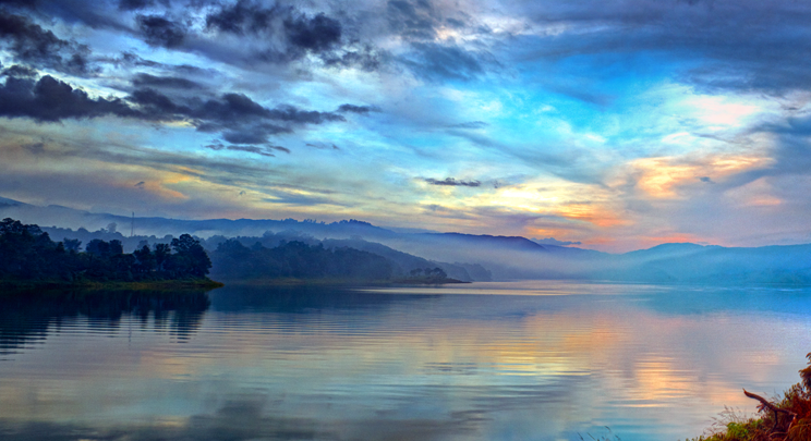 Prakriti India Tour tweet media