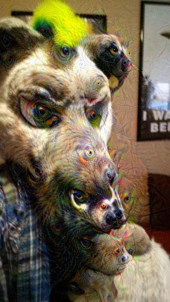 TankYeen's tweet image. Lemme sniff you with my second nose! #Tank #GoogleDeepDream