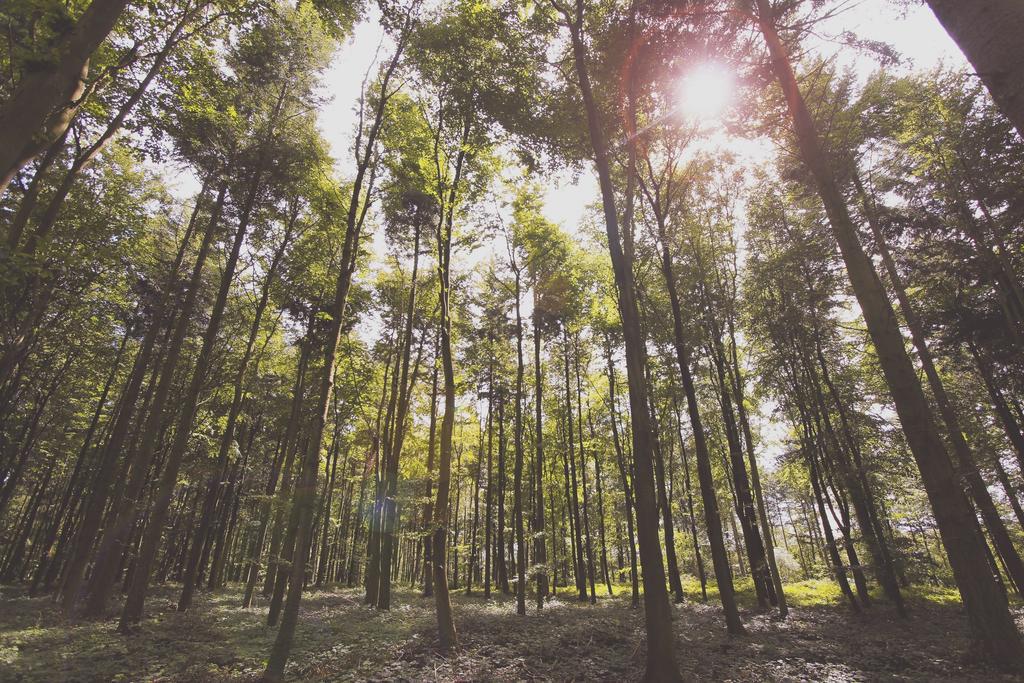 gunkgn (@jaygris24) on Twitter photo 