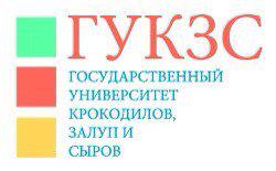 Мы все поступали не туда