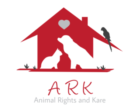 IrfanSyedReal's tweet image. A #logo I created on #DesignMantic. (The name&apos;s mine.)