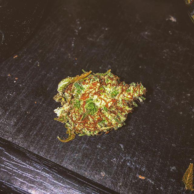 #caseyjones 💚 #screwedupclick 🔥💨👽 #dank #loud #uk710 #uk420 #flavourgameinsane #ukstoner #cannabiscommunity #ph4wg …