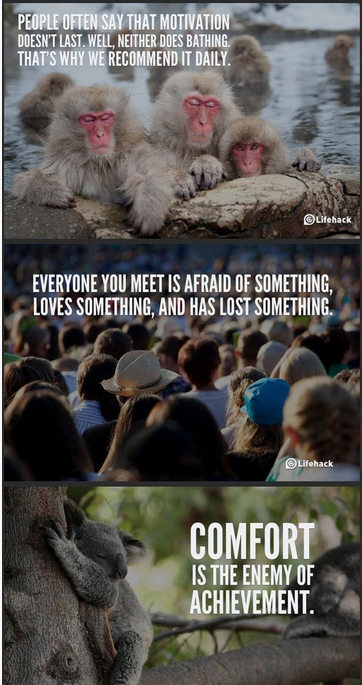 10 Sentences that Could Change Your Perspective in Life