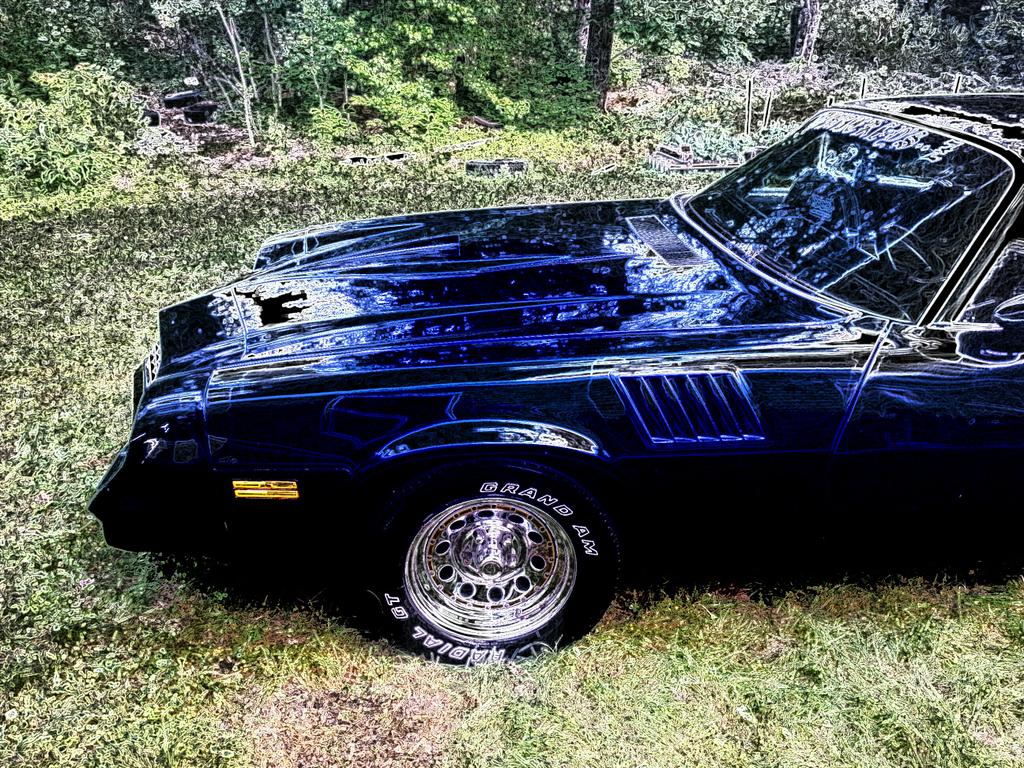 rendermaine's tweet image. My z is washed and ready to cruise! :))