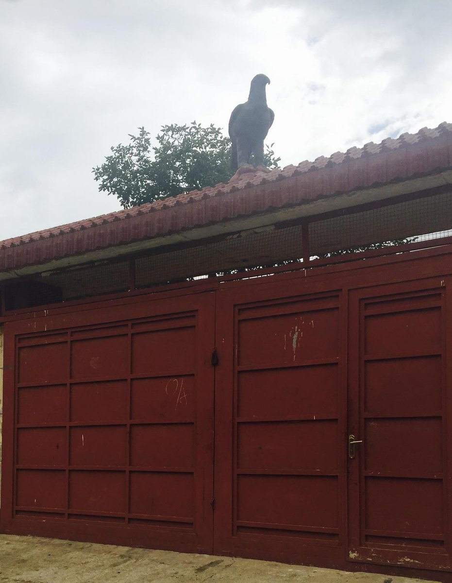 Shafi On Twitter Putting Statue Of An Eagle On Your Garage Door