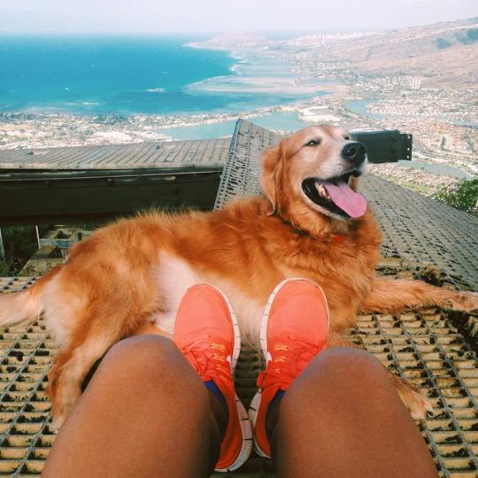 GetSlimGuide's tweet image. #FitnessMotivation #Workout #Fitness #FitFam