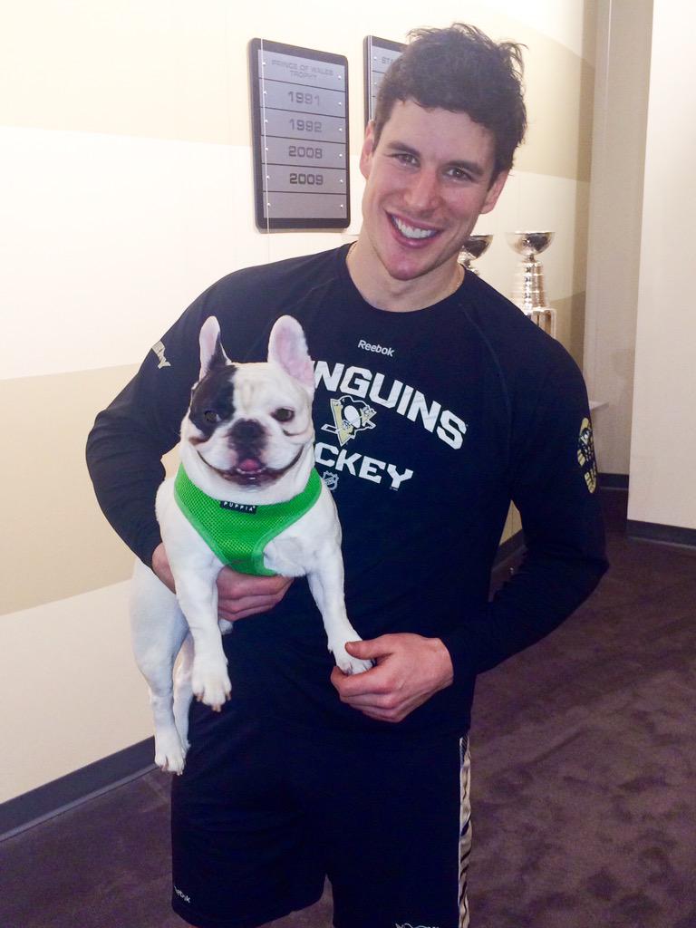 sidney crosby dog jersey