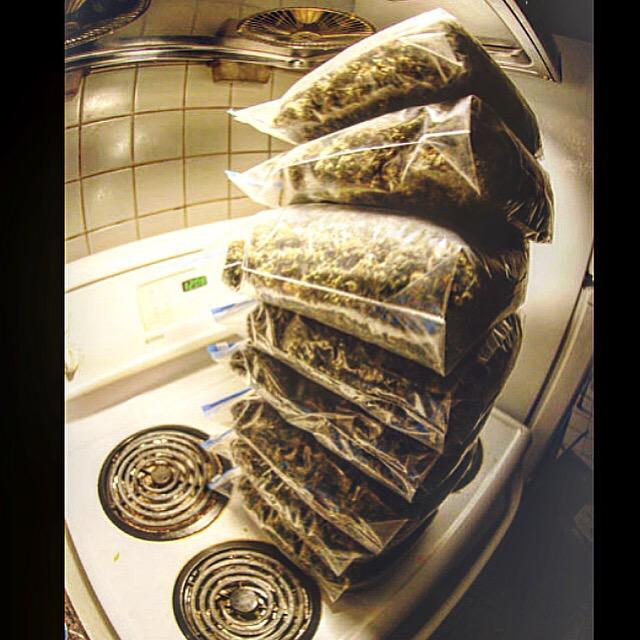 beasinator's tweet image. #trappinaintshit