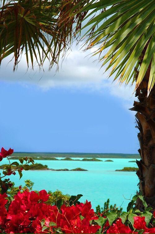 56Lhe's tweet photo. 海外リゾートへ行きたい人RT♡ http://t.co/Sqt4ejXrOy