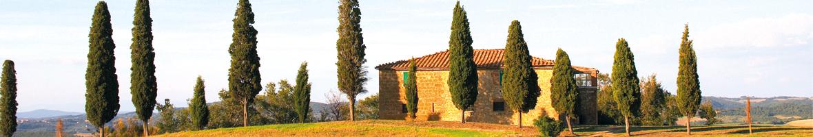 Taste Cheshire tweet media