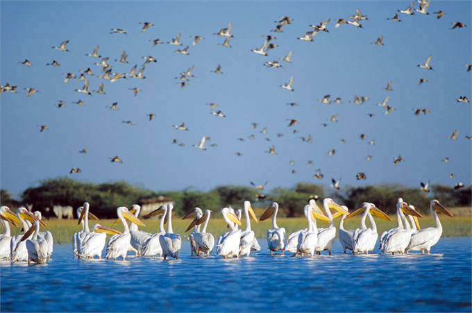 Prakriti India Tour tweet media