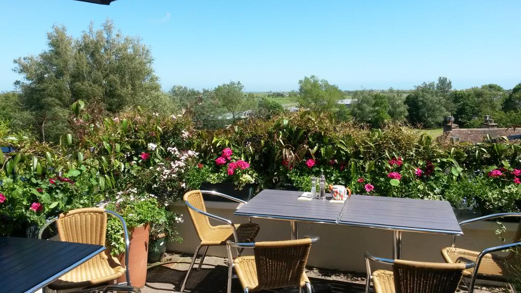 VisitCamber's tweet photo. Prettiest cafe garden in #Rye  http://t.co/TvlxaQTf3m @VisitRyeBay #glutenfree @Visit1066 @ryesussex http://t.co/8Vr8nE2J6t