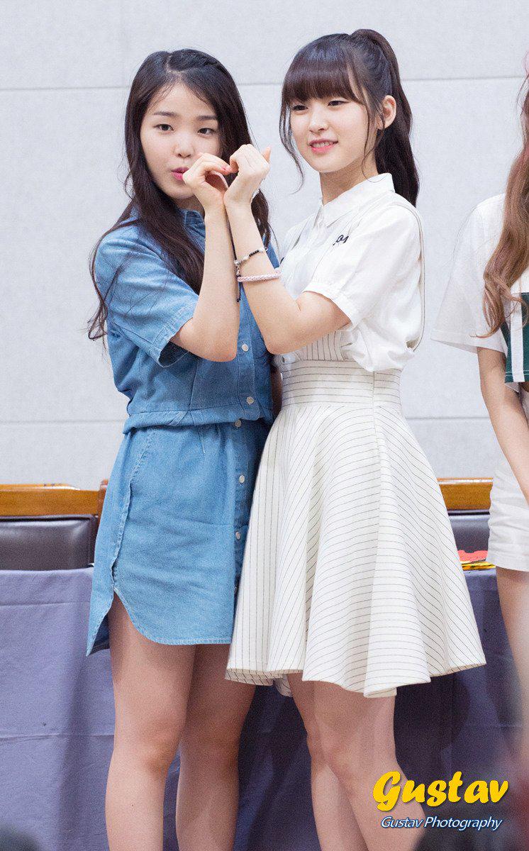 Arin_Thailand's tweet photo. [Fantaken] 150704 #OhMyGirl at Gwangju Fansign [©sunyoo] #아린 #Arin #Seunghee http://t.co/XIeK8VaUS0 http://t.co/RI5TkGPr4E