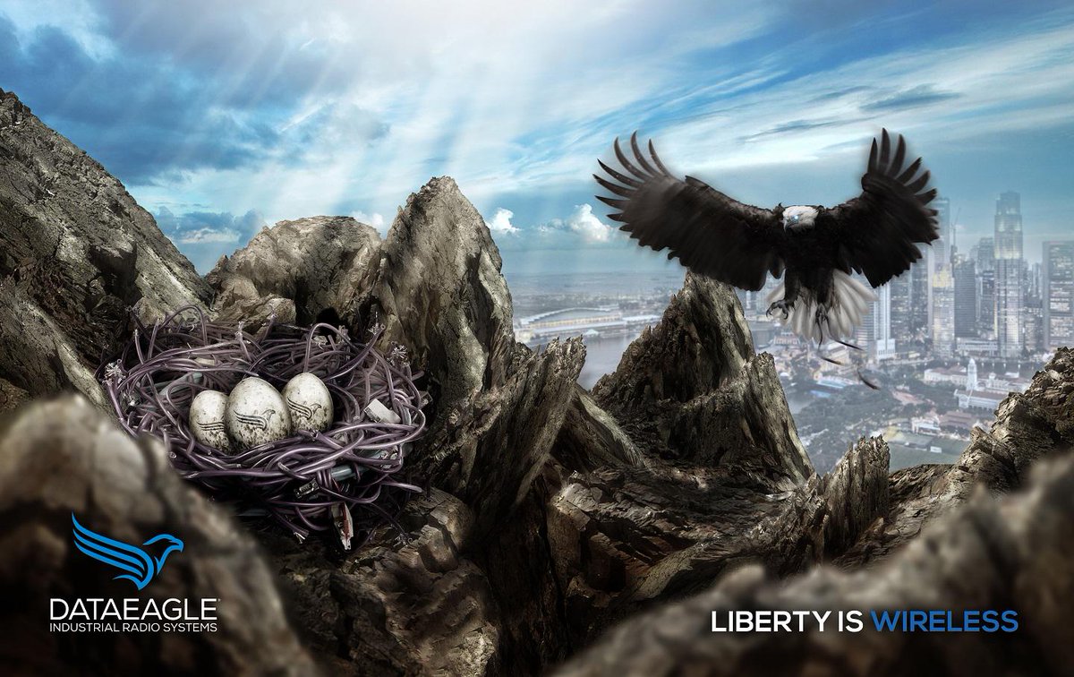 The Eagle's Nest - DataEagle - staying in control ow.ly/P302w #profibus #profinet