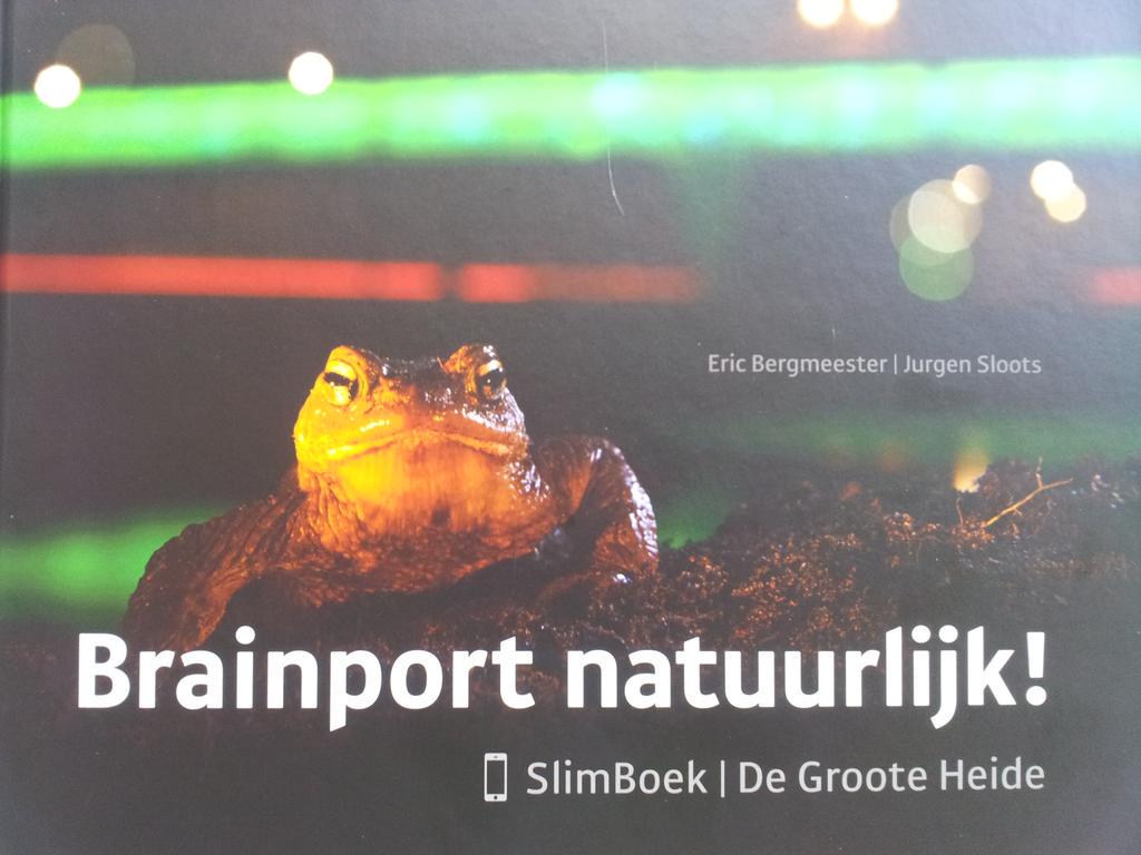 HasvanH tweet picture