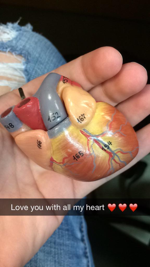 jackiie_bee's tweet photo. I ❤️ anatomy and physiology 😝😬😝 #BIOL121HACC http://t.co/XAe6EH0JcW