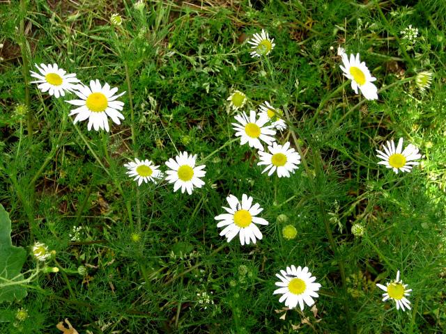 mediamatic's tweet image. Can you stop observing yourself? #TwijfelZaaien #RaisingDoubts #Question11 buff.ly/1LW2Pf9