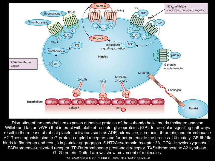 Schematic representation of platelet pathways and commonly used oral antiplatelet treatments #Lancet