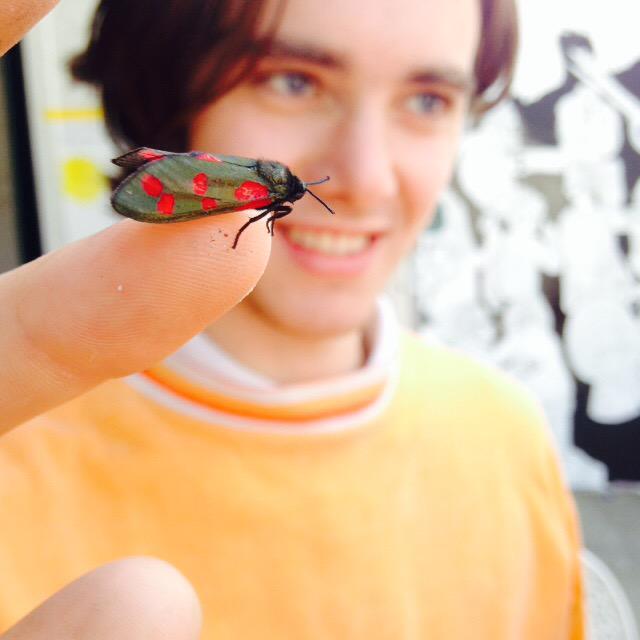 Rock Paper Scissors tweet media