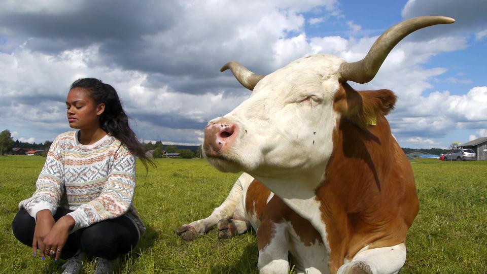 Polka Service tweet media