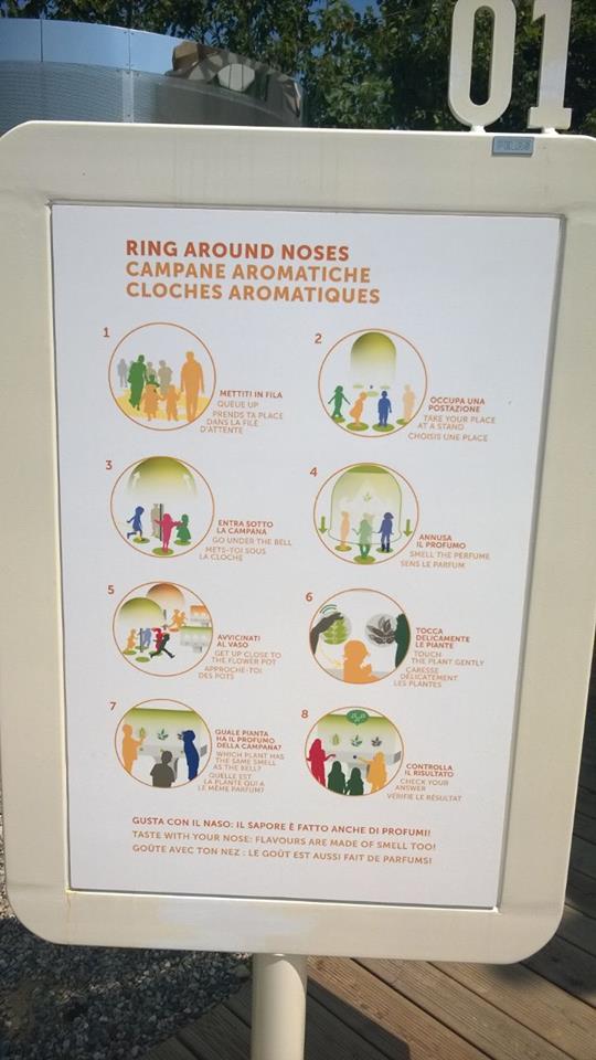kid_pass's tweet photo. Alla scoperta degli aromi al #ChildrenPark: voi avete trovato salvia o basilico?  @Expo2015Milano @Reggiochildren http://t.co/pkeNhZSAas