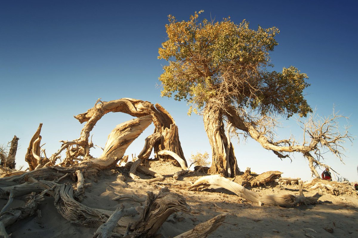 contractormag's tweet photo. Drought-stricken states slow to adopt water-efficient plumbing products, study says http://t.co/OwRkp1LjoL http://t.co/qX6WL0bFKt