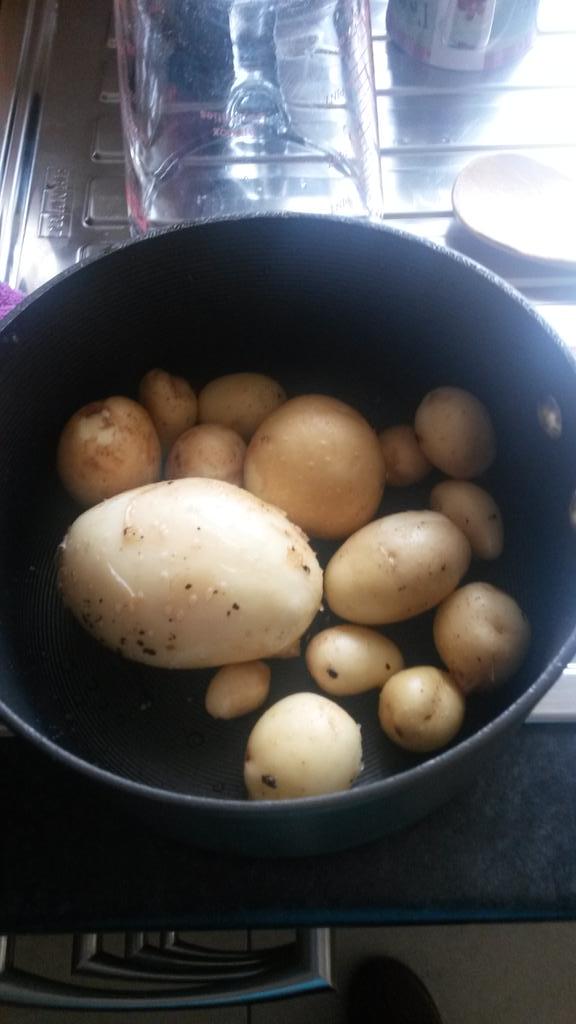 LSemple1's tweet photo. Homegrown potatoes for dinner #comberspuds @bighippy10 http://t.co/6T2XBdnLuH
