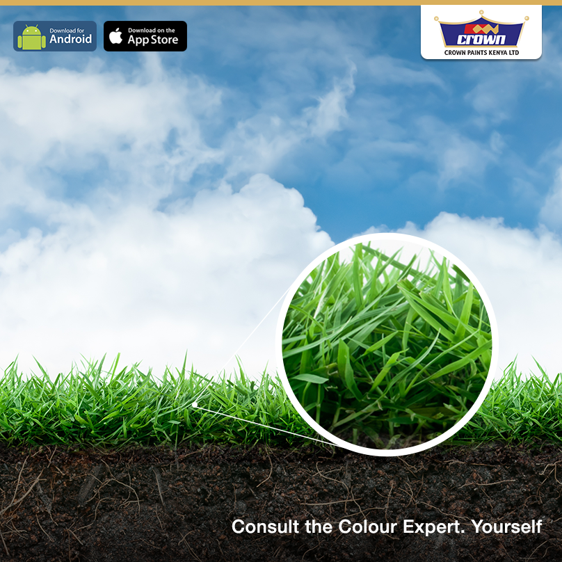 CrownPaintsPLC's tweet photo. What colour is the grass? Help us identify it using the #CrownColourApp. 
#KideroGrass http://t.co/CLcYgIAWoF