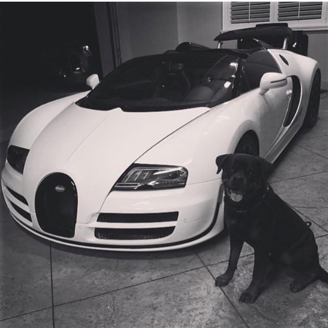 LisaKellyss's tweet image. 