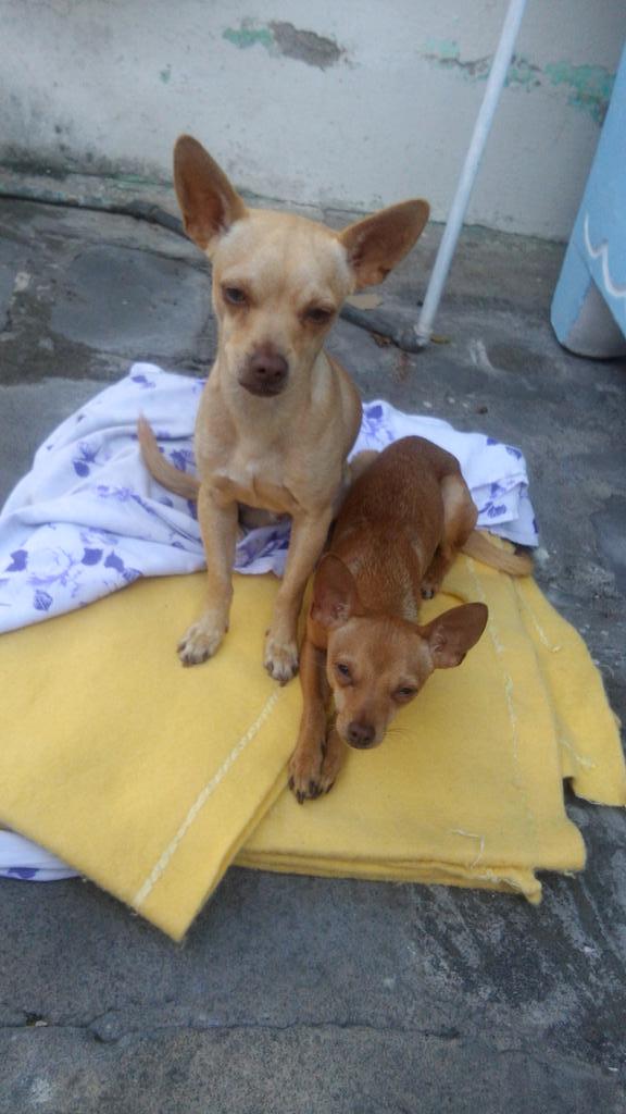 Isa_Chaias's tweet photo. #Simva &amp; #Wero Disfrutando sus vacaciones http://t.co/2OPkSVBdbk
