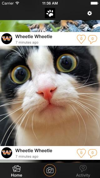 we finally launched #paws - the cutest social network! check it out itunes.apple.com/ro/app/paws-cu…