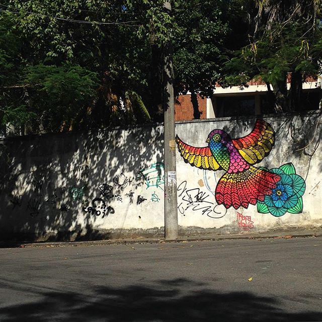 StArtEverywhere's tweet photo. #graffiti #streetart #urbanart #arteurbana #riodejaneiro #brasil #rafamon #graffitirio #graffitigirl #errejota #str… http://t.co/JCKGDZdI2G