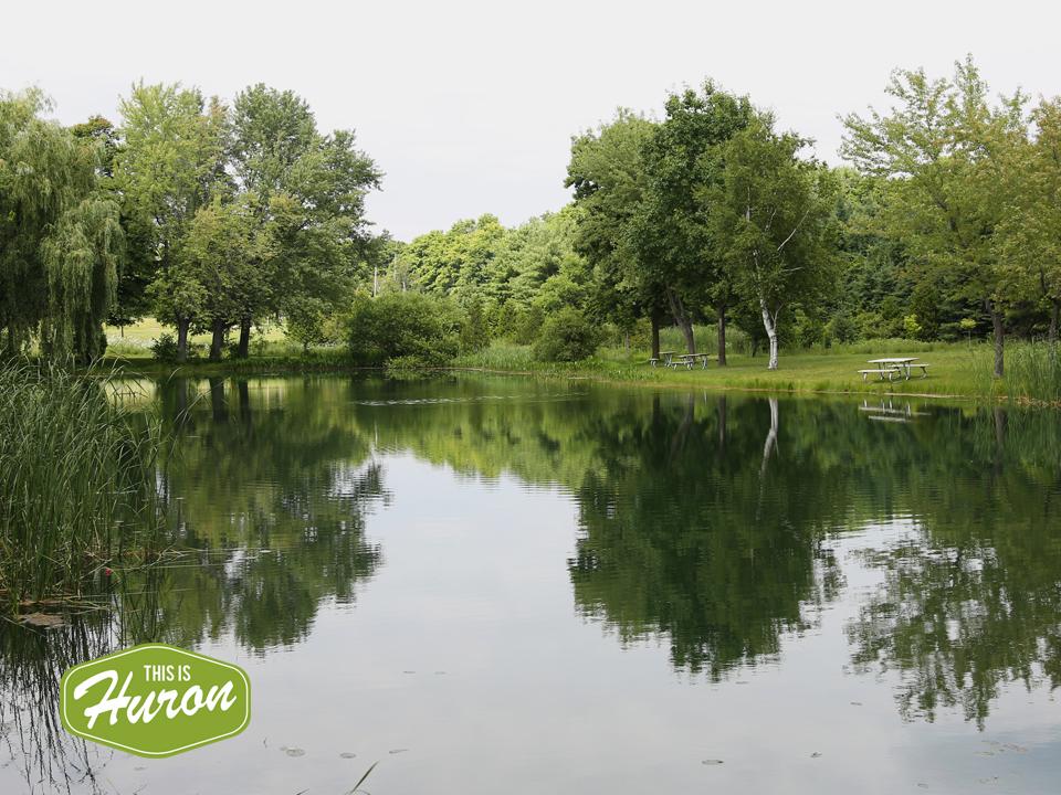 Mirrored lake at Falls Reserve.