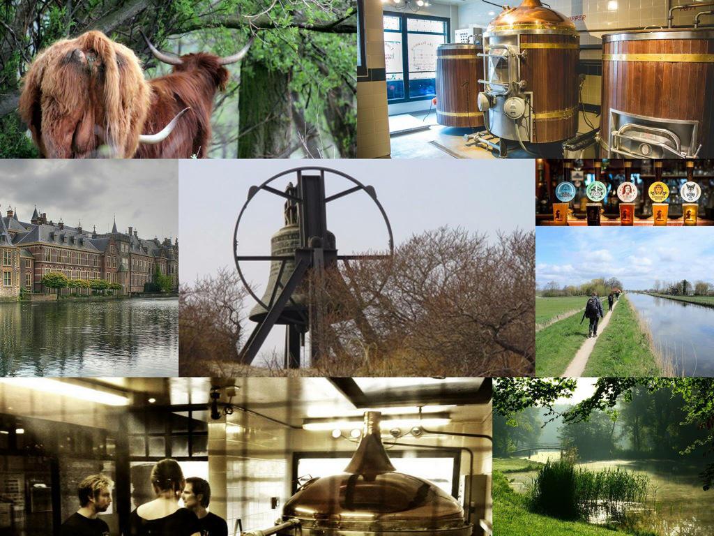 Ik zoek gezelschap die mee willen #wandelen: zon 30 aug #Wassenaar-#Den Haag. Zin?Mail dan:dirkpvandenberg@gmail.com