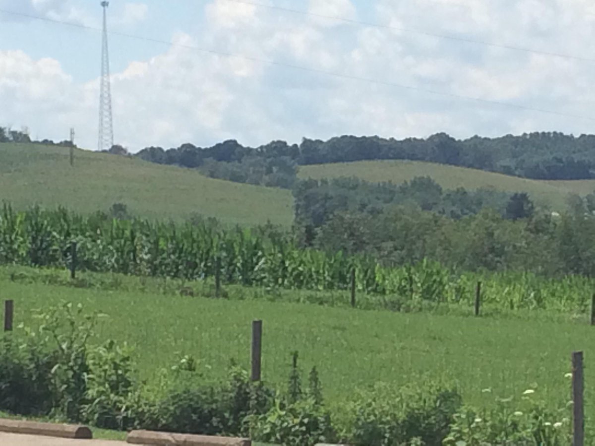 _Melbourneer_'s tweet photo. This mountainside looks like someone spliced a photograph together - http://t.co/0Y9b8CyVES http://t.co/L4W1IGFjLN