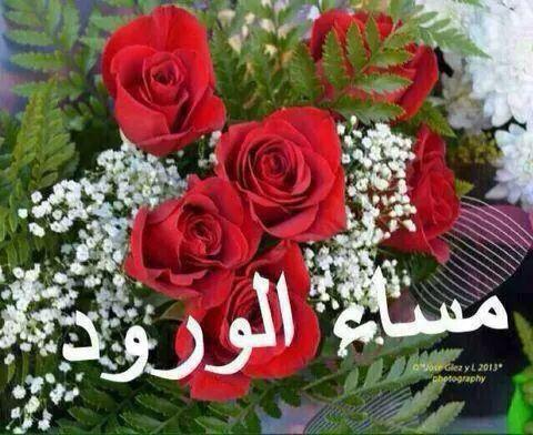 60d5fc0f52df496's tweet photo. @zozoaljanob http://t.co/Un9C6GCEOB