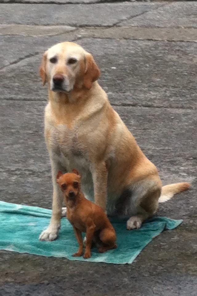 hectorsanta2's tweet photo. http://t.co/Qp8xyvdQYG