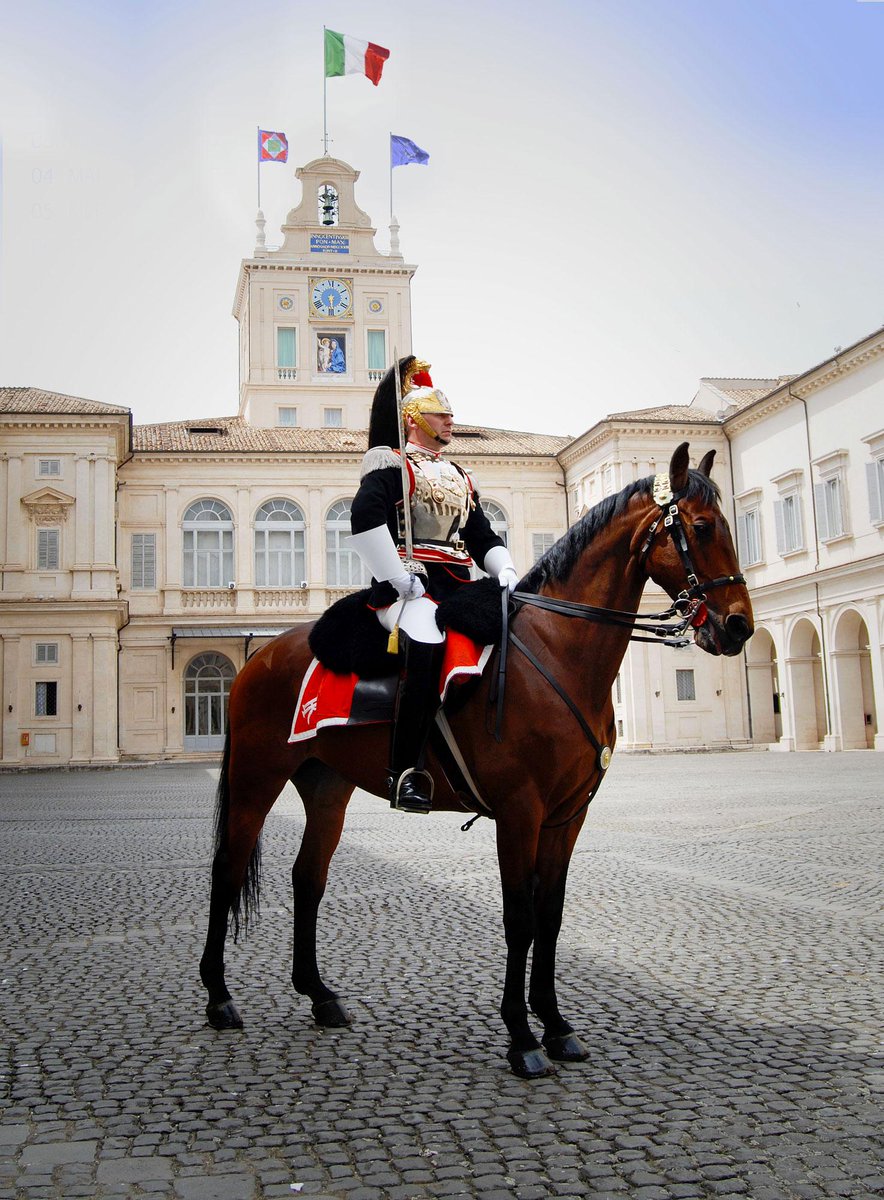 Quirinale's tweet photo. I #Corazzieri sono la Guardia d'Onore del #Quirinale... #VIDEOdocumentario:
https://t.co/mtxEayFlpX http://t.co/HNUOQeisVp