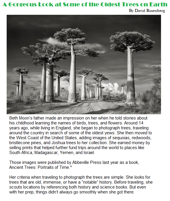 4SeasonsTree925's tweet image. #TreeTrimmingService #TreeCleaning #StumpGrinding