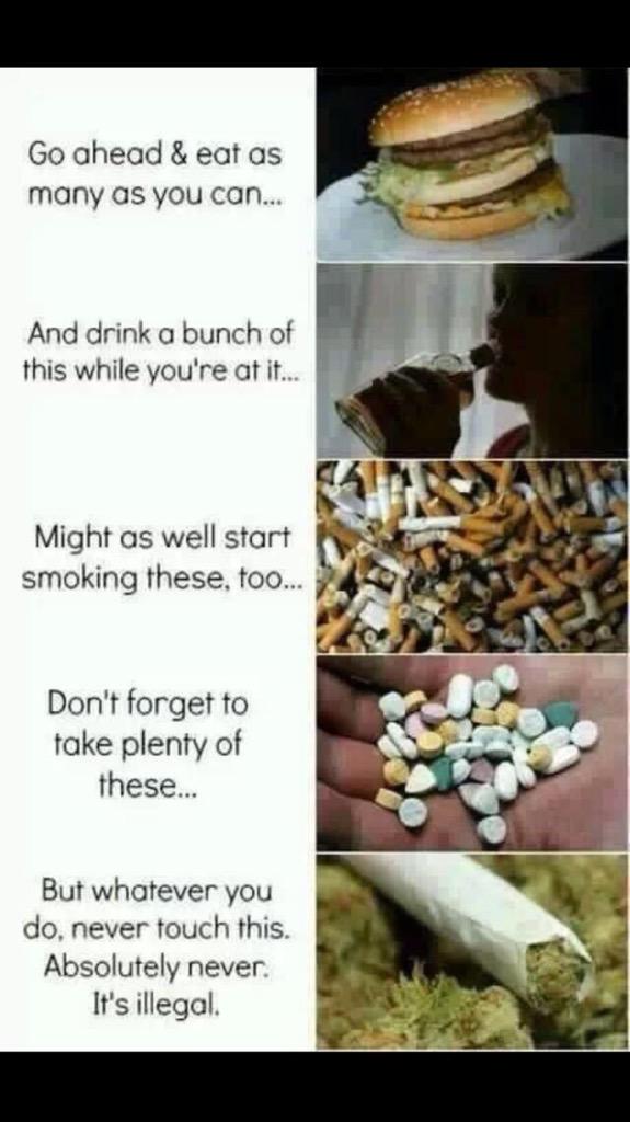 CannabisComando's tweet photo. Society http://t.co/uiYim6618c