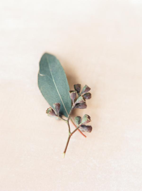 Handmade Paper and Gold Invitation / Natural, Organic Texas Wedding writtenwordcalligraphy.com/2015/07/21/han…