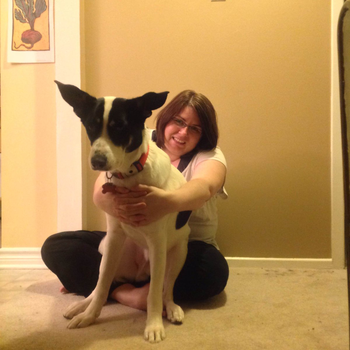 turnipseeds's tweet image. A5. I'm about half solo, half family. And by "family" this beast included. Say hi to @PoochOllie #InsuranceThatFits