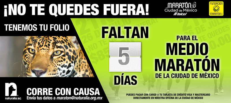 Naturalia_AC's tweet photo. @SoyRunnerMx RT ¡Aún tenemos folios!
Faltan 5 días para el Medio #MaratonCDMX escribe: maraton@naturalia.org.mx http://t.co/T3ZfKSAr9T