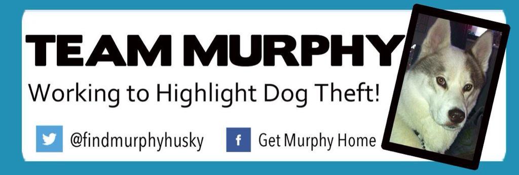 michell57319641's tweet photo. @findmurphyhusky @claraloo #StillMissing #WheresMyAnnie @WheresMyAnnie #HelpFindAnnie http://t.co/LrrS1D4p57