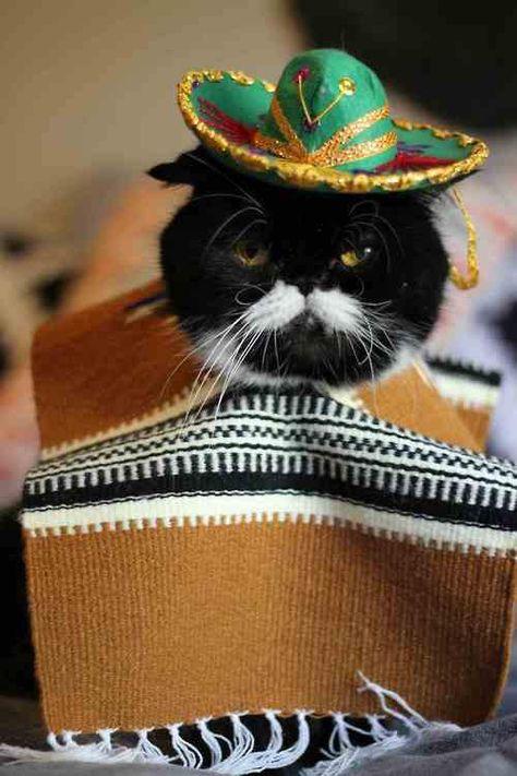 ComoBossTacos tweet picture