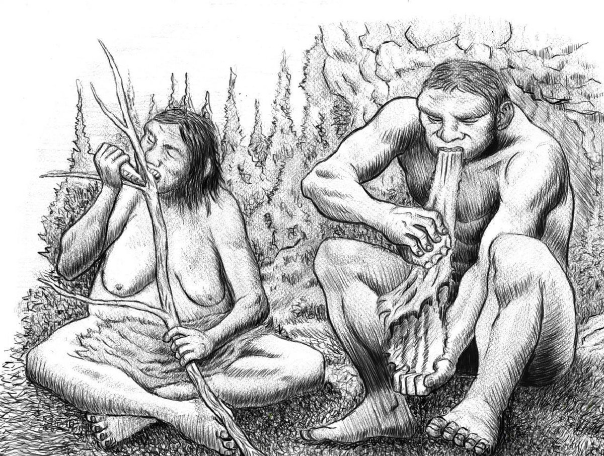 C_TTierra's tweet photo. Los neandertales dividían algunas de sus tareas según el sexo. - See more at: http://t.co/VncjYsrixp http://t.co/Qb4kTrL9mK