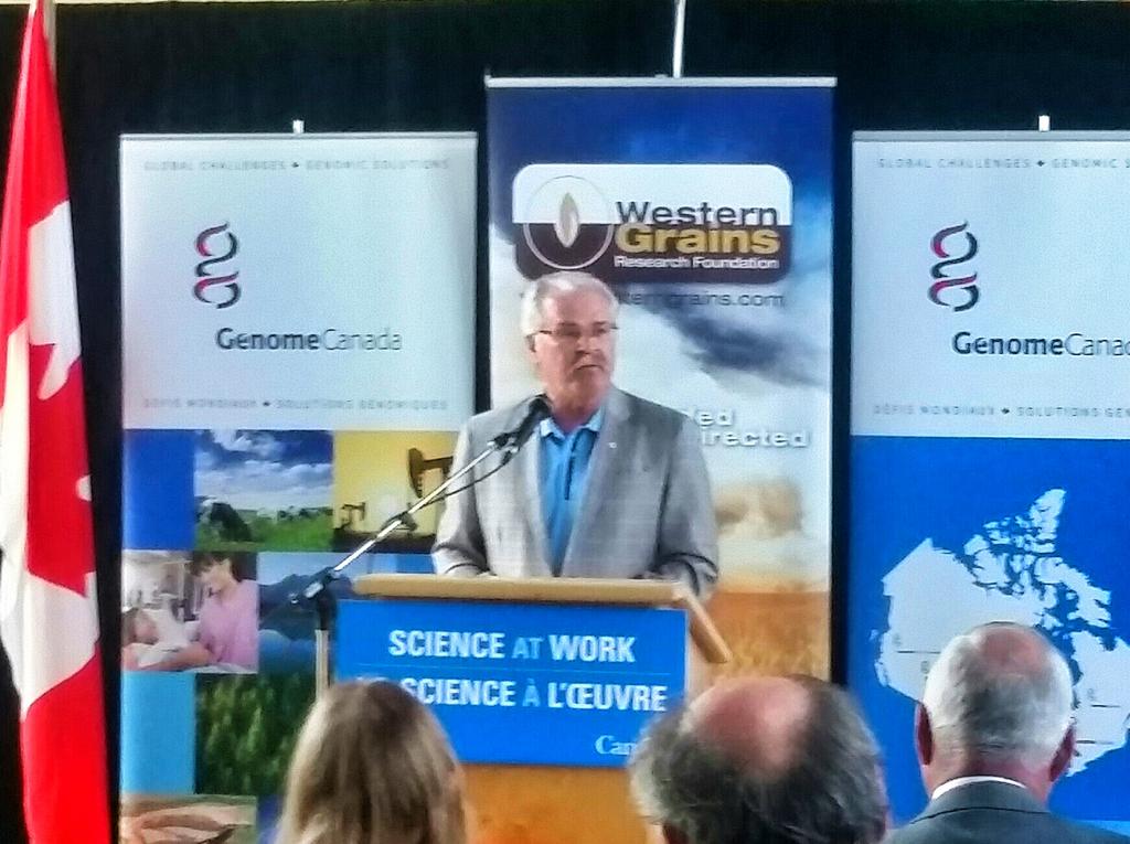 SaskPulse's tweet image. @GerryRitzMP announces over $30 million in govt funding for genomics research benefiting SK farmers. #pulseresearch