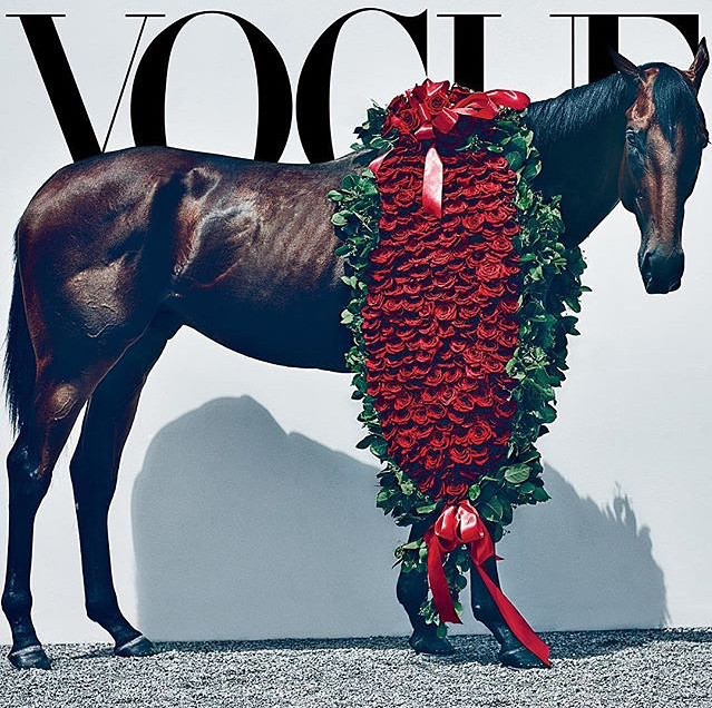 HRTVInsider's tweet photo. Correction* American Pharoah is NOT on the cover, Instead Nicole Kidman is. RT if you think he should have been! http://t.co/oTtRiZ2hmF