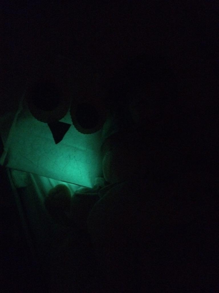 KatieSpring14's tweet photo. @toucanbox the owl lantern went to bed this evening :) http://t.co/U6UFP1pXor